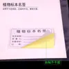 Papel de Montaje de Espécimenes de Hoja de Cera Profesional Encuesta de Medicina China 8K16K Carpeta de Espécimenes de Plantas Papel Absorbente de Hoja de Cera Caja de Espécimenes de Plantas