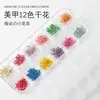 Arte de Unhas Japonesa 12 Cores Flor Seca Joia Flor Seca Grande Adesivo Hanga Flor de Contas de Neve Decoração de Arte de Unhas Renda de Revista Flor