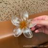 Explosiones de Espejo Cruzado Europeas y Americanas Pinza de Flor de Huevo de Color Tridimensional Anti-Falso Pinza Grande para la Parte Posterior de la Cabeza Accesorios para el Cabello para Mujer Tocado