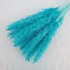 Pequeño Junco Flores Eternas Ramo de Flores Secas Hierba de Pampa DIY Materiales Florales Decoración Hierba de Pampa Amazon Mayorista Flores Eternas