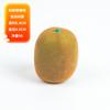 Frutas Simuladas, Modelos de Limón de Fruta Falsa, Accesorios de Fotografía de Manzana Falsa, Accesorios de Rama, Adornos Decorativos para Arreglo de Escena