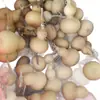 Colgante de Calabaza Natural, Adorno para Colgar en el Coche para Viajes Seguros, Artesanía Tallada para una Vida de Paz y Prosperidad, Adorno para Colgar en el Coche