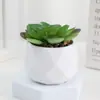 Plantas suculentas artificiais em estoque em vasos de plástico cerâmico imitação em formato de diamante, itens populares de decoração para casa e ornamentais transfronteiriços para atacado