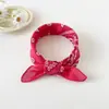 Origem Transfronteiriça 100% Algodão Puro Paisley Flor de Caju Quadrado Lenço Lenço de Cabeça Retrô Americano Lenço de Pescoço bandana
