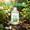 Solución Nutritiva Especial Jazmín de Ocho Hombres Viejos: Suplementa Nutrientes, Fortalece la Inmunidad, Fertilizante Soluble en Agua, Previene el Agrietamiento de Frutas