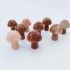 Pedra Natural Transfronteiriça 2cm Ornamentos de Cogumelo Mini Cogumelo Pequeno Ágata Artesanato Micro Paisagem Decorações de Cristal