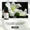 Fabricante de Fuente de Aromaterapia Aceite Esencial de Aromaterapia Soluble en Agua 10 ml Fragancia Vegetal L Difusor Ambientador Máquina de Aromaterapia Aceite Esencial
