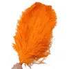 Wen Ce Feather Factory vende grande Rod multi-color pena de penas de avestruz multi-tamanho guia de casamento pena decorativa