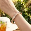 Pulseira de Aço Inoxidável 304 de Linha Dupla Estrela Completa em Aço Titânio para Mulheres, Sensação de Alto Padrão, Luxo Leve, Moda, Temperamento, Anel de Mão Venda por Atacado