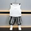 Conjunto de Colete de Verão para Meninos 2026 Novo Estiloso Bebê Tendência Roupa Sem Manga Calça Anti-Mosquito Infantil Conjunto de Duas Peças