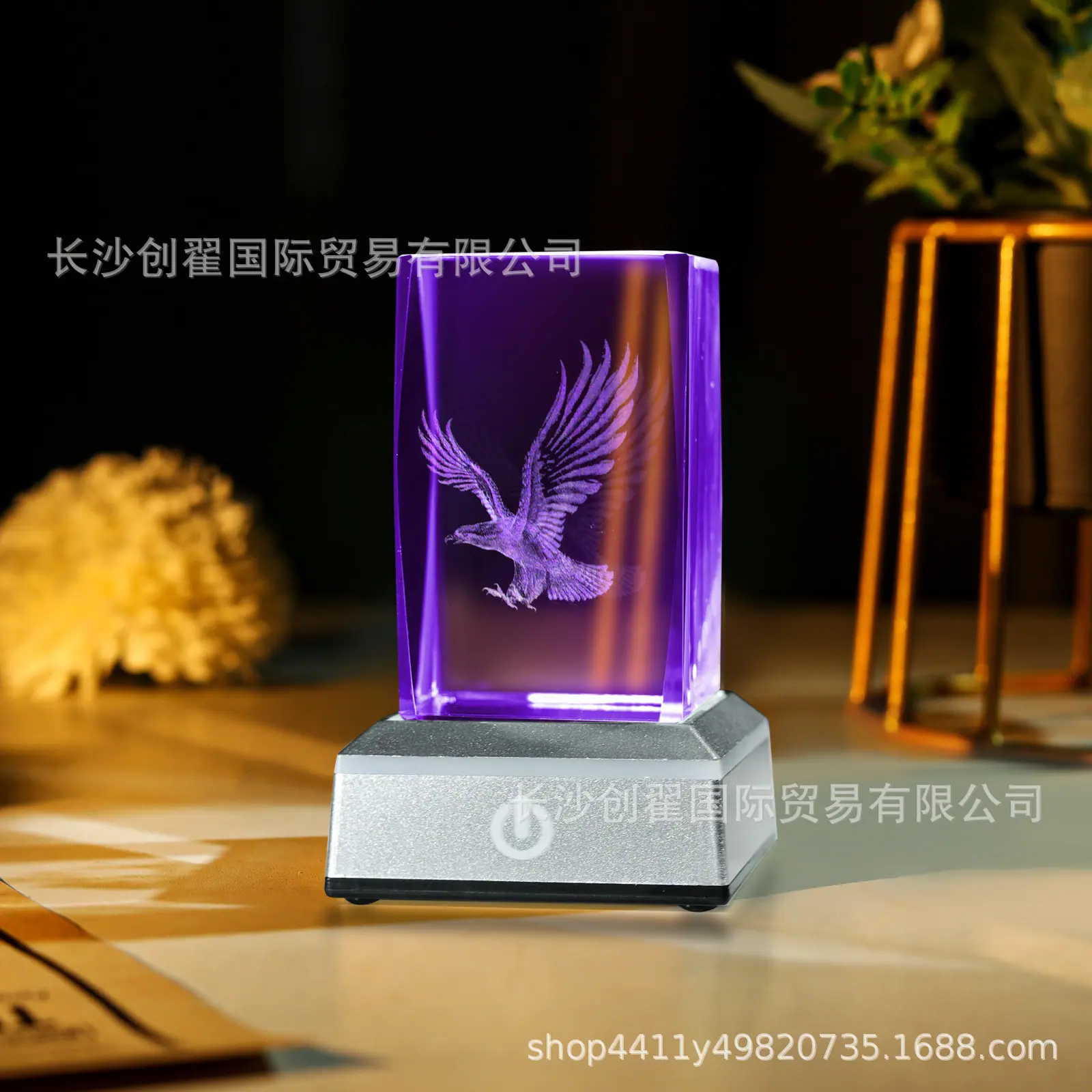 老鹰_09.jpg