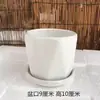 Maceta de Cerámica Tamaño Grande Oferta Especial Liquidación Interior Escritorio Balcón Suculenta Maceta Pequeña Clorofito Helecho Espárrago Maceta Simple Blanca