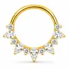 Anillo nasal cerrado sin costuras de aleación de titanio G23 con incrustaciones de circonita Zhenping, aro para tabique nasal y hueso de la oreja, joyería nasal finamente tallada F136