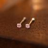 Plata S999 Pendiente de Diamante Único para la Oreja para Levantar los Orificios de las Orejas Pendientes Nuevo Estilo Simple Mini Zircón de Cuatro Garras Clavo para el Cartílago de la Oreja Aguja Anti-bloqueo Palito para la Oreja