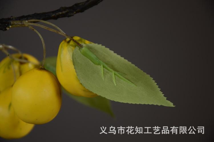 2-10黄色欧罗梨子.JPG