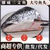 Salmão Norueguês Cabeça Grande Salmão do Atlântico Frutos do Mar Atacadista Comercial Cabeças de Salmão Dropshipping Comercial Atacado
