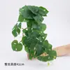 Hoja de Tortuga Simulada Colgante de Pared Hojas Plantas de Enredadera Falsas Adornos de Decoración para el Hogar Hojas de Rábano Verde Colgantes Mini Simuladas Venta al por Mayor