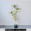 Árbol de yuca de cola de fénix simulado, árbol de sangre de dragón de hoja estrecha, árbol de hierro de sisal, árbol falso de agave, adornos decorativos para el piso del hogar, verde