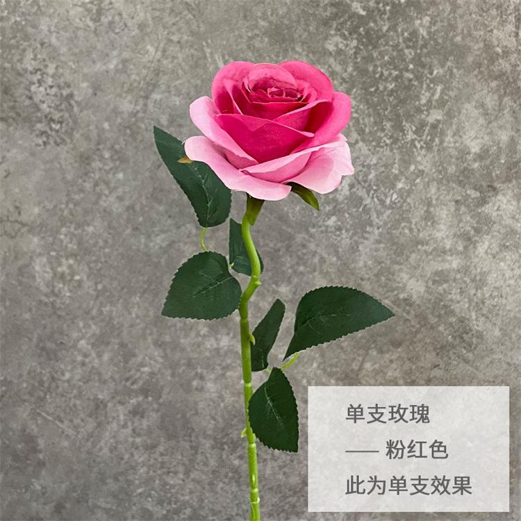 单支玫瑰-粉红色.jpg