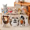 Almohada Personalizada con Logo Impreso en Foto, Colcha Cuadrada, Manta de Doble Uso, Cojín Textil para el Hogar Tres en Uno, Transfronterizo