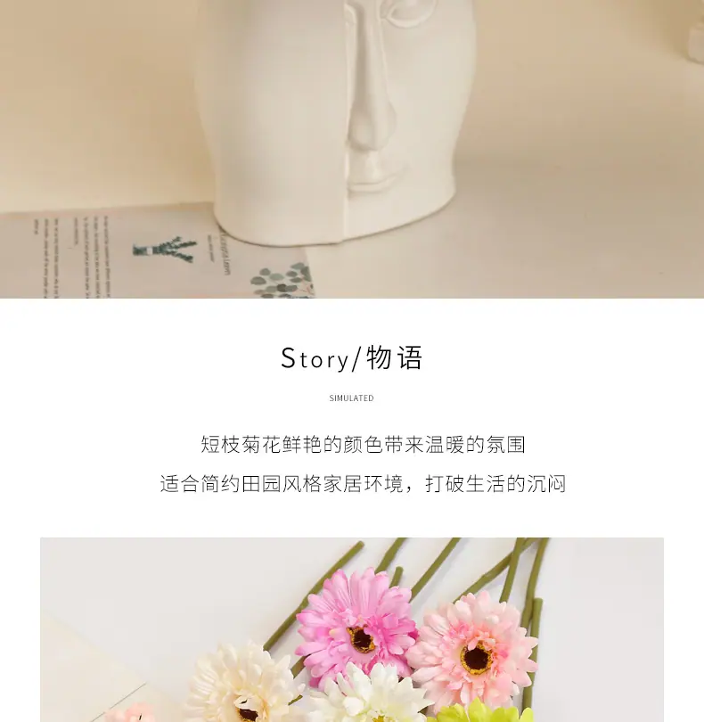 短枝菊-花_02.jpg