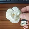 Pinza para el Cabello de Plumeria Clip de Verano Nuevo Accesorio para el Cabello de Playa Pinza de Celebridad de Internet Pinza de Tiburón en la Parte Posterior de la Cabeza Gorro Dai