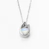 Collar Cruzado de Acero Inoxidable Estilo Europeo y Americano, Colgante de Gota de Agua con Forma de Corazón, Botella de Perfume Abrevible, Collar Memorial para Cenizas