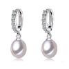 Arete de perla de agua dulce 8-9 mm luz fuerte forma de gota de arroz circonita paquete de oro de 14 quilates material Joker live venta directa transfronteriza