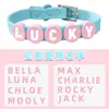 Collar de Silicona para Mascotas DIY con Cuentas Estampadas y Colgante Redondo de Letra y Dibujos Animados, Collar Personalizable con Nombre para Perro y Gato