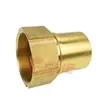 Conector de Junta para Tubería de Transferencia de Aceite con Rosca Interna de Latón DIN2817 Conector de Manguera Tipo Pagoda 1.0/2pulgadas ~ 4pulgadas