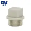 Colección de Accesorios para Tuberías de Agua Caliente y Fría PPR: Codo Roscado Interno, Tes, Conexión Reductora, Conector Recto, Codo de Puente