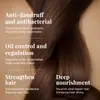 Set de Cuidado para Cabello y Cuerpo Transfronterizo KORMESIC Control de Grasa Limpieza del Cuero Cabelludo Cuidado Completo del Cuerpo Venta al por Mayor