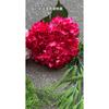 Fábrica de flores artificiales para bodas de color rosa y rojo, fondo de boda fresco, decoración de camino, flores falsas al por mayor