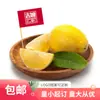 Palito de Dente Bandeira Bandeirinha Palito de Vinho Prato Inserção para Hot Pot Hambúrguer Decoração de Bolo Logo Entrega Rápida