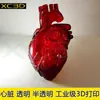 Servicio de Impresión 3D Ortopédico Corazón Hígado Riñón Modelo Quirúrgico Resina Transparente Corazón Cuerpo Humano