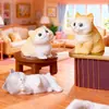 Micro-Paisagem Novo Produto Boneca Gatinho Realista Casa de Boneca Ornatos de Paisagismo Acessórios Decoração de Casa Ornatos Pequenos de Mesa