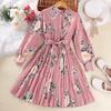 Vestido para Meninas Roupa Infantil Primavera Estação Independente Wish Amazon Ebay Novo Vestido de Princesa Plissado Estampado de Manga Longa