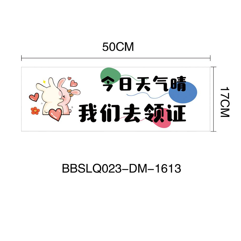 BBSLQ023-DM-1613