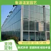 Proyecto de Invernadero de Cristal Estilo Venlo, Invernadero Inteligente de Múltiples Vanos para Vivero de Flores, Procesamiento y Construcción de Estructura Galvanizada en Caliente