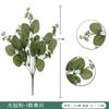 Simulación de plástico transfronterizo, planta verde, arreglo floral doméstico, planta de simulación, decoración en maceta, paquete de simulación de eucalipto y gypsophila.