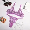 Comércio Exterior Europeu e Americano Menina Cheinha Plus Size Lingerie Feminina Tentação Sexy Perspectiva Renda Bordada Malha Sutiã com Aro conjunto