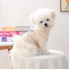 Roupas para Animais de Estimação para Outono e Inverno, Cães de Porte Pequeno, Filhotes, Cães e Gatos, Roupas Quentes e Confortáveis, Saia de Gaze com Laço Azul, Estilo de Ano Novo