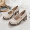 Zapatos Mary Jane estilo francés para mujer, nuevos zapatos versátiles de tacón alto para otoño 2026, cómodos zapatos pequeños de piel con tacón grueso, zapatos de vestir de estilo japonés