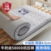 Almofada de Colchão Cor Sólida Nanjiren Colchão Espesso para Estudante de Dormitório Cama Superior e Inferior Individual Tapete Tatami