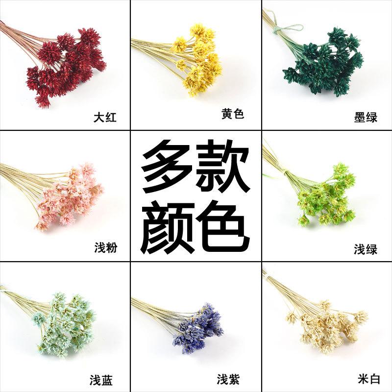 永生花7.jpg