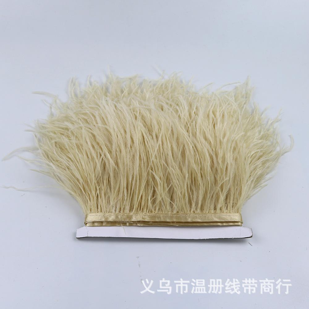 46 ostrich feather fringe 1