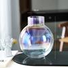 Jarrón de vidrio moderno y sencillo con forma de bola transparente, utensilios para flores hidropónicas, decoración de plantas y flores, adornos florales para sala de estar.