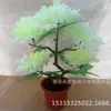 Flores de Ofrenda Qingming, Flores en Maceta, Bonsái de Crisantemos Amarillos y Blancos, Macetas de Cinco Siete para Ofrendas en Tumbas, Suministros Funerarios por Yunyang
