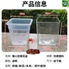 Macetas Transparentes para Plantas en Maceta, Plantas Verdes, Ventana Cuadrada de Observación, Plantas de Balcón y Alféizar, Cultivo de Flores, Venta al por Menor y al por Mayor