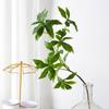 Planta de simulação toque cavalo madeira bêbada folha decoração de casa adereços de fotografia casamento flor falsa cavalo madeira bêbada folha atacado
